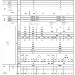 QDY型雙梁橋式冶金起重機(jī)